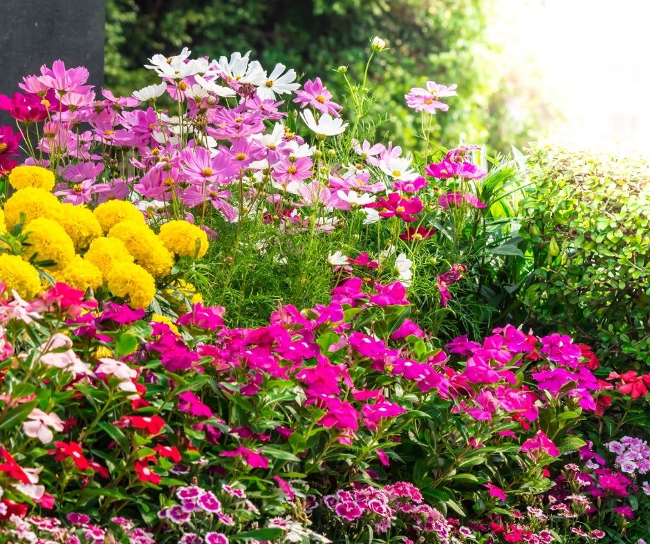 Das Bild zeigt eine buntes Blumenmeer im Garten