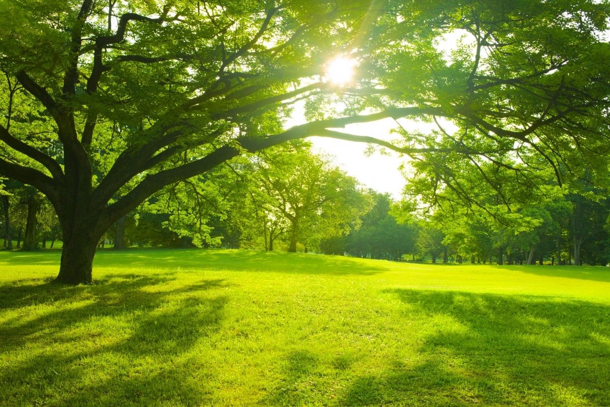 Gartenplanung Tirol Kosten Hussl Gartentipps